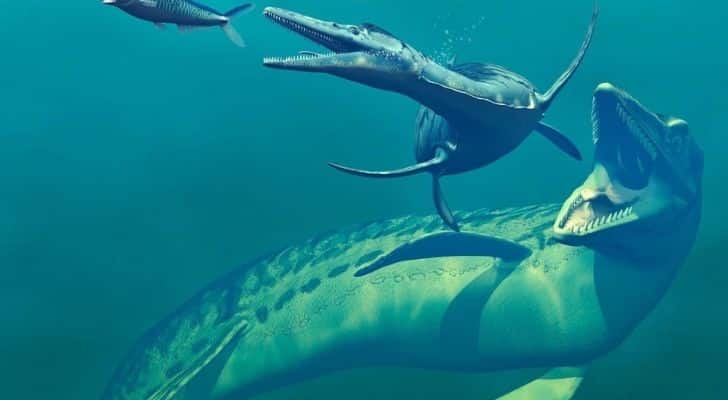 A large plesiosaur eating prey