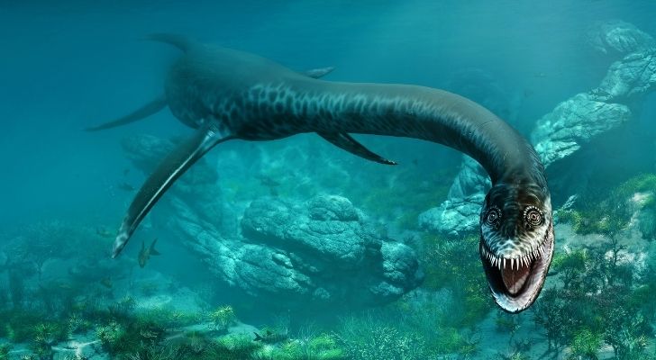 A Plesiosaur