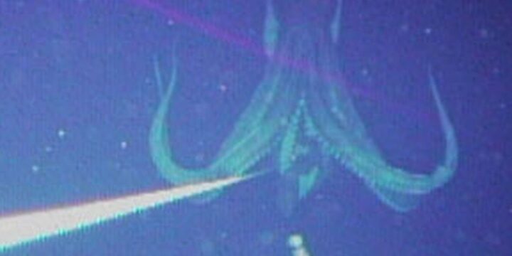 OTD in 2004: For the first time