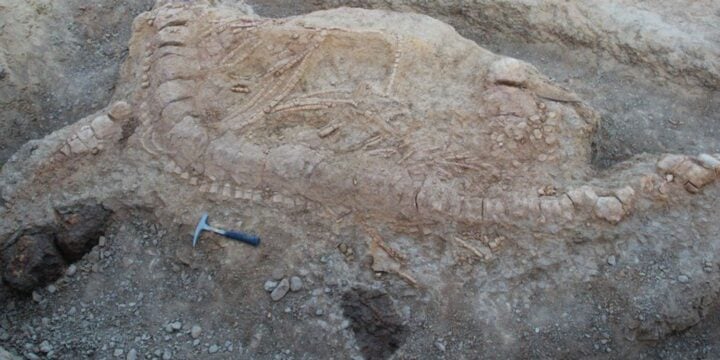 OTD in 2017: Scientists in India discovered a 152-million-year-old fossil of an extinct marine reptile called the ichthyosaur.