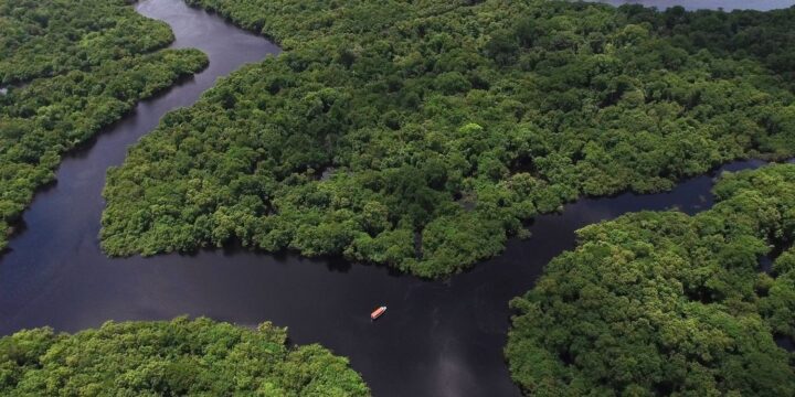 OTD in 2019: The Brazilian Space Agency announced that the country's Amazon rainforest had suffered its biggest spike in deforestation in over a decade.
