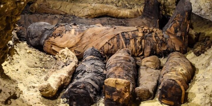 OTD in 2019: Forty mummies were discovered and unearthed in Tuna el-Gebel