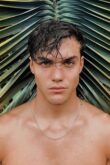 Grayson Dolan