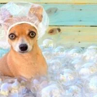 January 8: National Bubble Bath Day