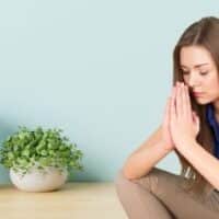 January 10: National Houseplant Appreciation Day