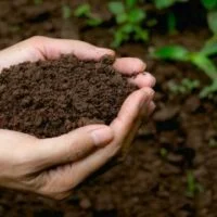 December 5: World Soil Day