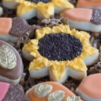 February 1: Decorating With Candy Day