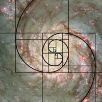 November 23: Fibonacci Day