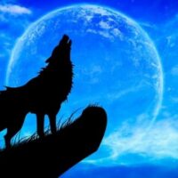 October 26: Howl At The Moon Day