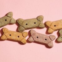 February 23: National Dog Biscuit Day