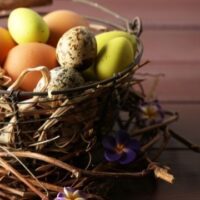 July 9: National Don't Put All Your Eggs in One Omelet Day