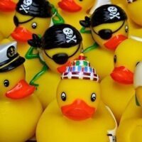 February 6: National Lame Duck Day