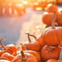 October 26: National Pumpkin Day
