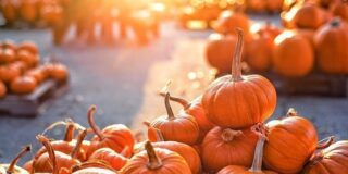 October 26: National Pumpkin Day