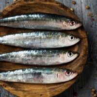 November 24: National Sardines Day