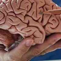 October 13: National Train Your Brain Day