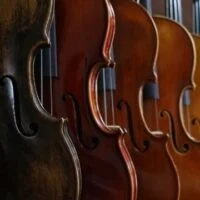 December 13: National Violin Day