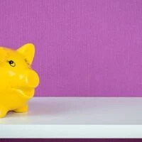 July 17: National Yellow Pig Day