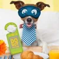 December 31: No Interruptions Day