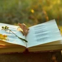 August 21: Poet's Day