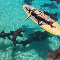 July 14: Shark Awareness Day