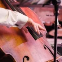 July 31: Uncommon Instrument Awareness Day