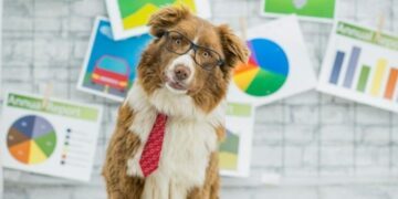 August 5: Work Like a Dog Day