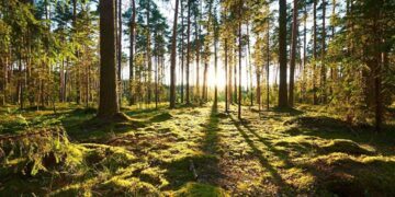 June 5: World Environment Day