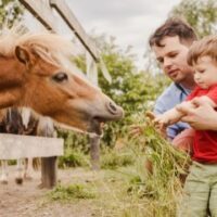 October 2: World Farm Animals Day