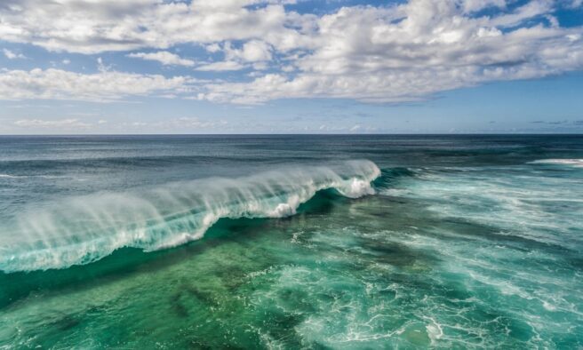 OTD in 1992: World Oceans Day was celebrated for the first time.