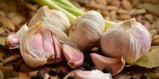 10 Pungent Facts About Garlic