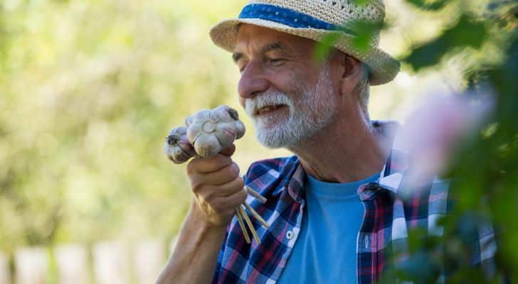 A farmer smelling a bunch of garlic