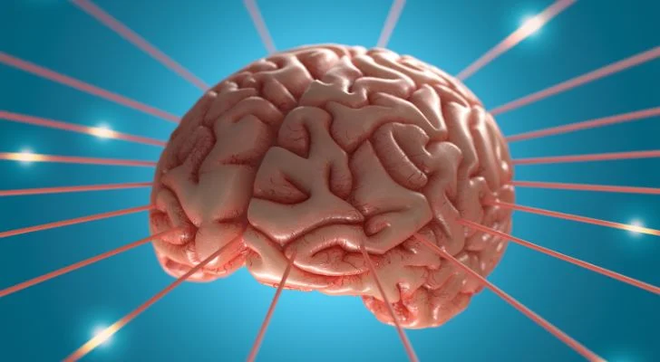 Carbs affect the brain