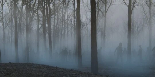 Are Zombies Biologically Possible?