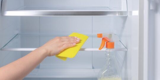National Clean Out Your Refrigerator Day | November 15