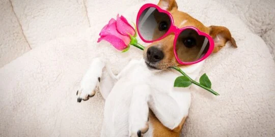 10 Unusual Ways People Celebrate Valentine’s Day