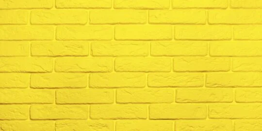 30 Bright Facts About The Color Yellow