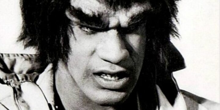 OTD in 1978: The Incredible Hulk TV series premiered on CBC starring Bill Bixby.