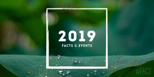 2019: Facts & Events That Happened in This Year
