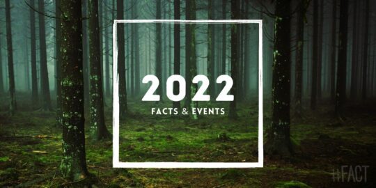 2022: Facts & Events That Happened in This Year