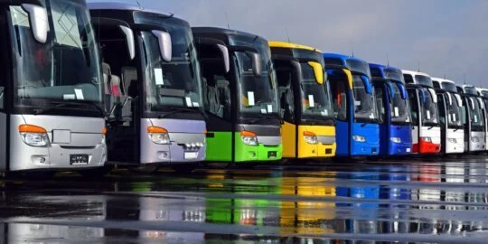 10 Bustling Facts About Buses