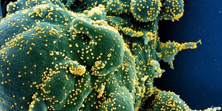 OTD in 2019: A 55-year-old man became the first known person to contract COVID-19.