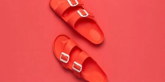 30 Comfy Facts About Birkenstocks