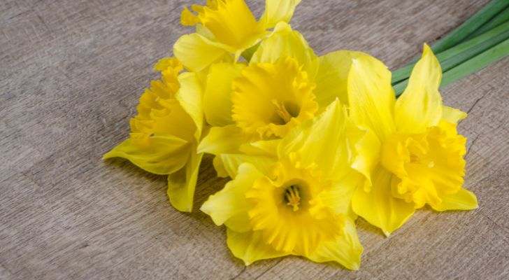 A bouquet of yellow jonquils