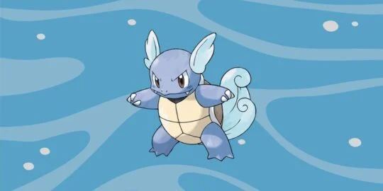 15 Wild Facts About Wartortle | Pokémon