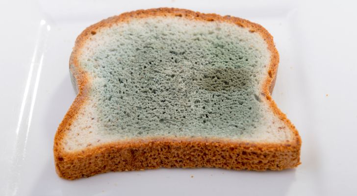 A slice of white bread that has turned green in the middle due to mold