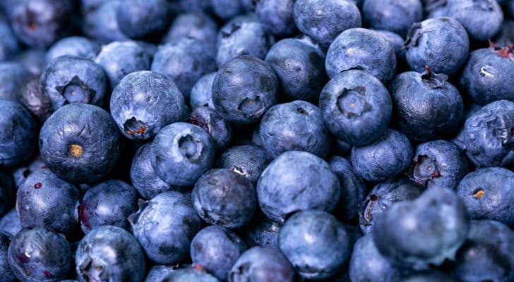 A large pile of bright blue blueberries