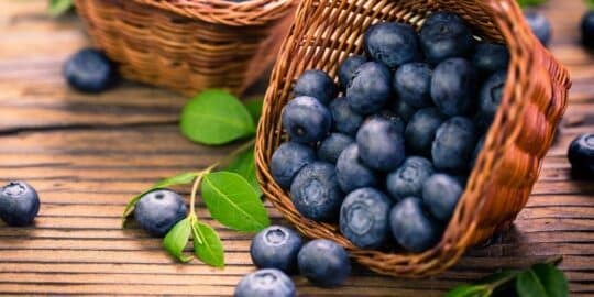 10 Brilliant Facts About Blueberries You Should Know