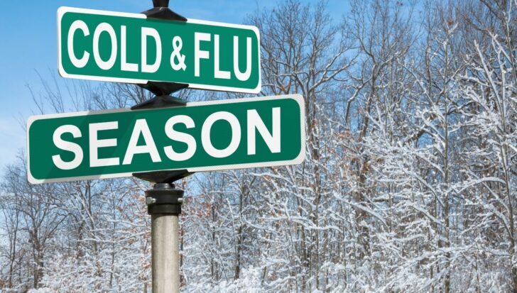 Two green street signs labeled 'Cold & Flu Season' against a snowy forest background