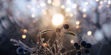 Winter Solstice Facts